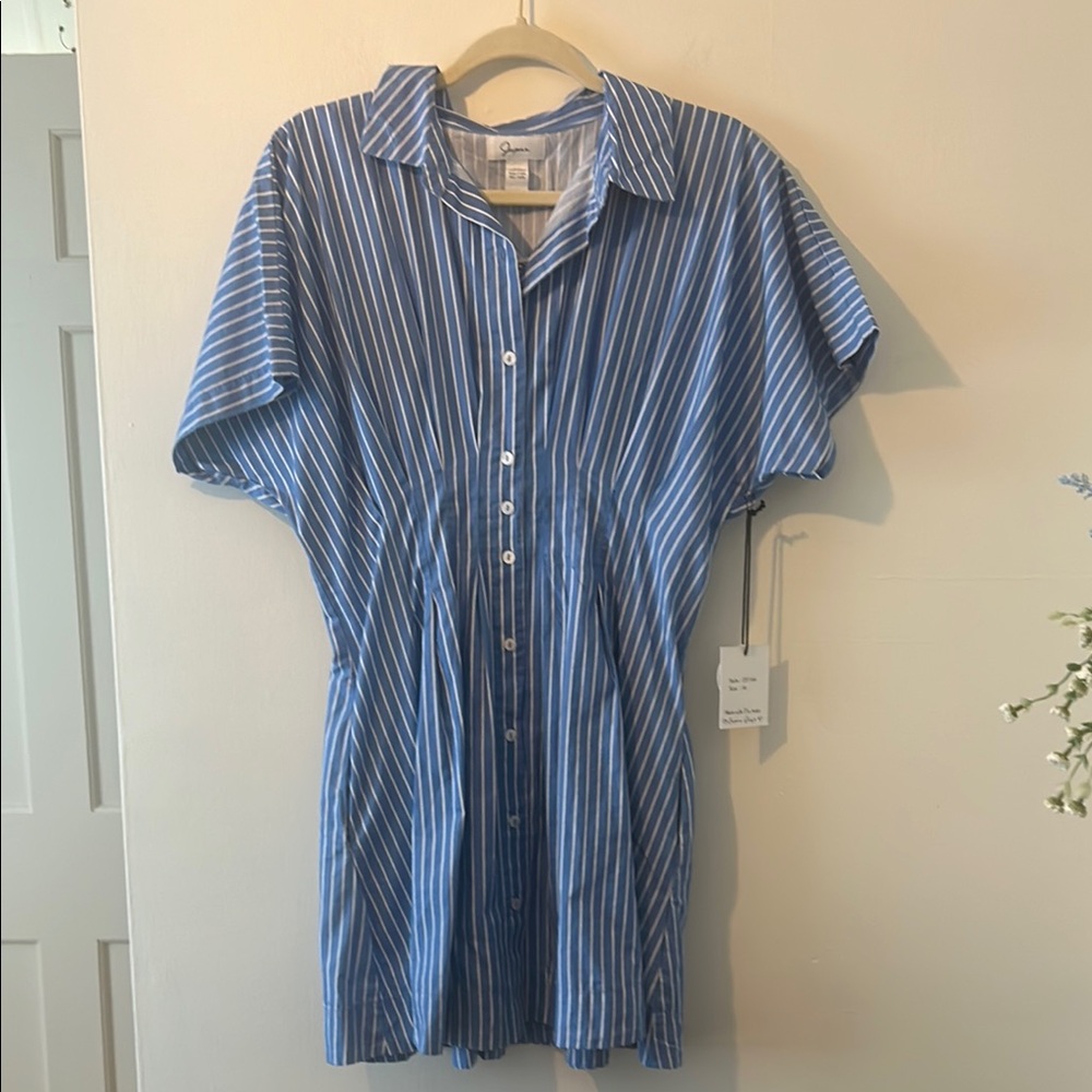 Blue Striped dress